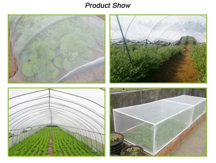 100% HDPE Raw Material Agricultural Greenhouse Insect Net